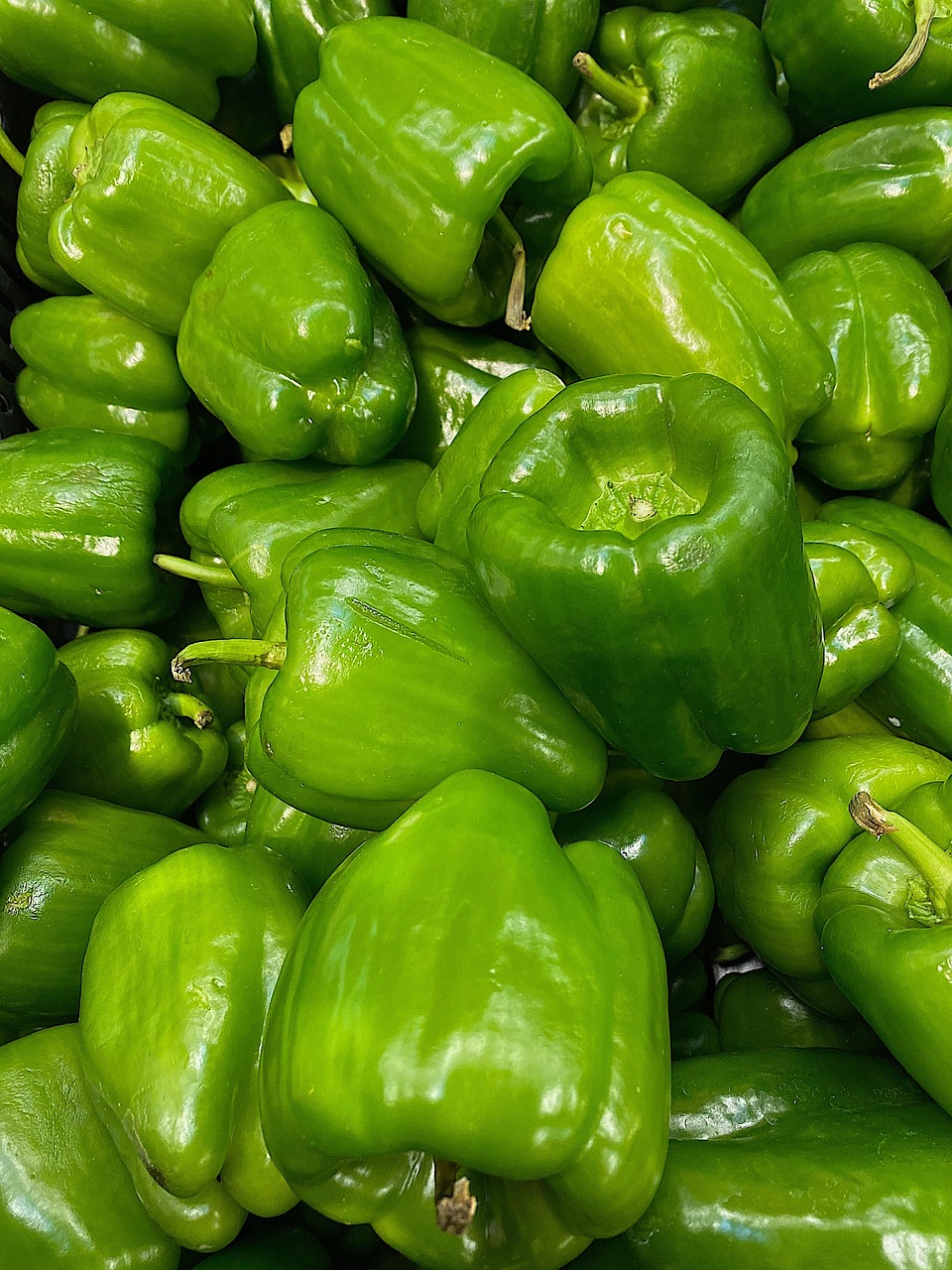 bell peppers, vegetables, food, capsicum, green bell peppers, produce, harvest, organic, natural, healthy, nutrition, closeup, capsicum, capsicum, capsicum, capsicum, capsicum