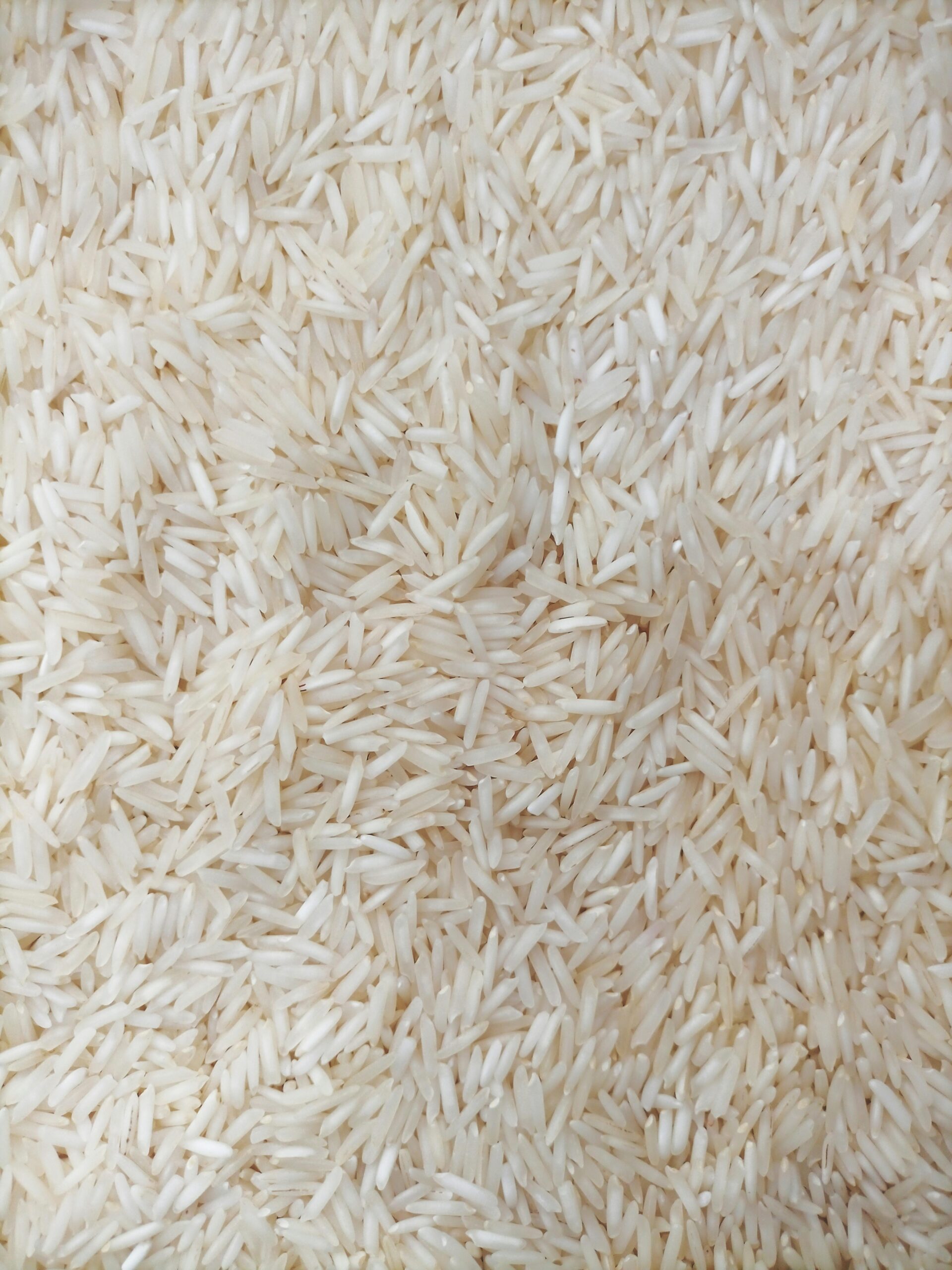 Detailed close-up view of basmati rice grains displaying texture and uniformity.